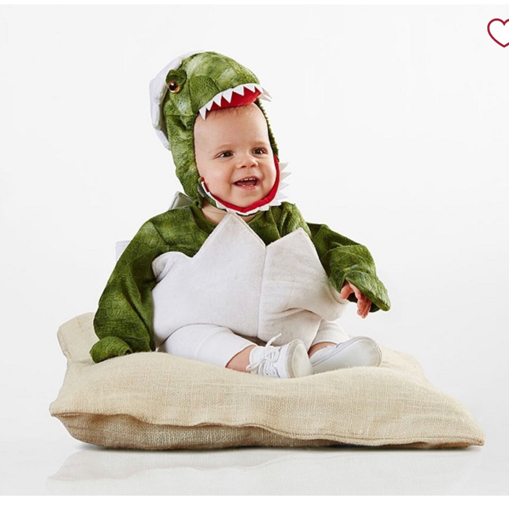 Pottery Barn Kids Green & White Dino Baby Costume